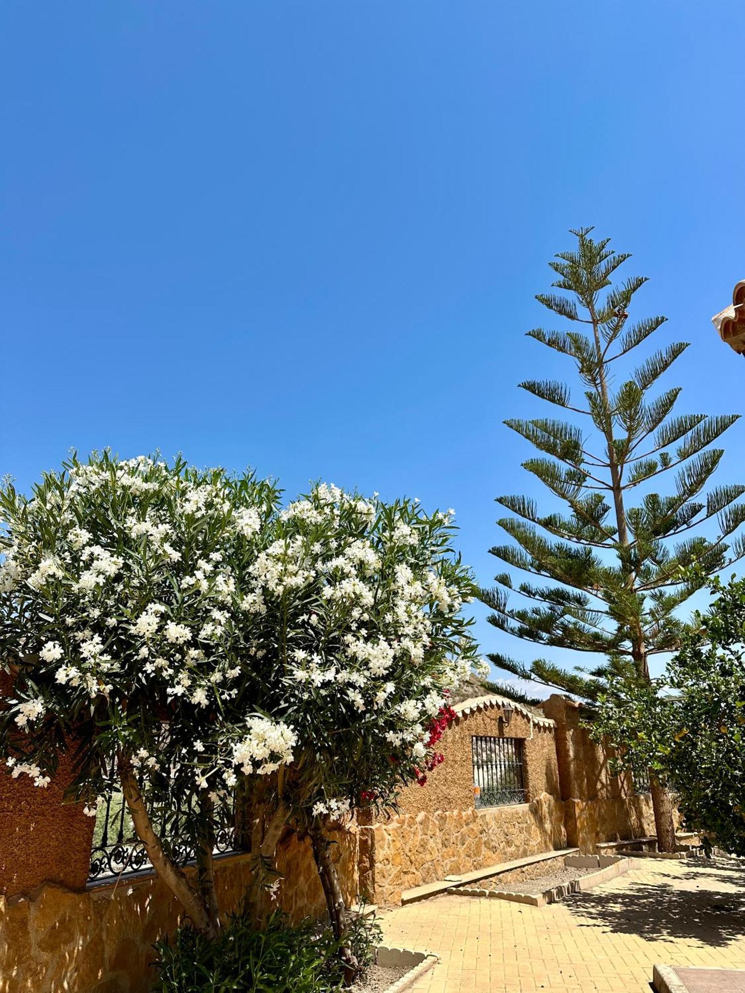 Casa Rural El Pomelo Zurgena 외부 사진