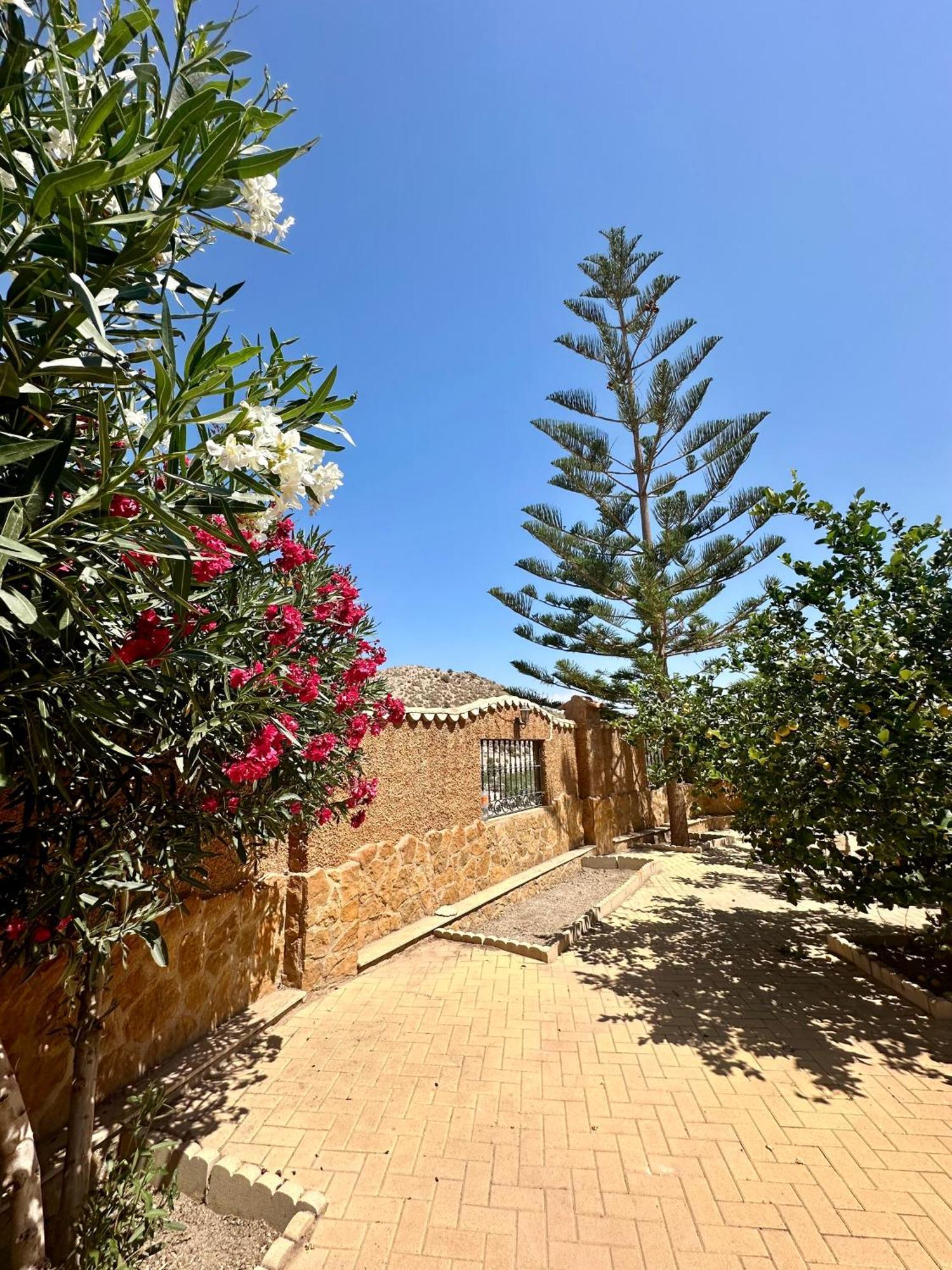 Casa Rural El Pomelo Zurgena 외부 사진